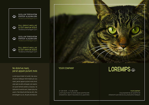 템플릿 한마리 표지디자인 북디자인 출판디자인 표지 리플렛 북커버 3단접지 팜플렛 사람없음 고양이 발자국 반려 이미지템플릿 AI파일 1 포유류 자국 반려동물 파일형식 벡터