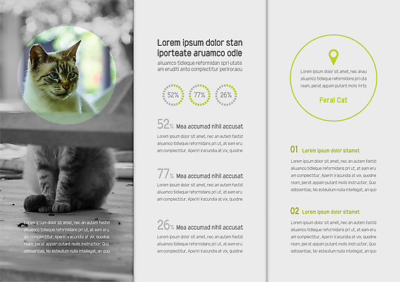 템플릿 한마리 표지디자인 북디자인 출판디자인 내지 리플렛 북커버 3단접지 흑백 팜플렛 사람없음 고양이 GPS 반려 이미지템플릿 AI파일 1 포유류 촬영기법 반려동물 파일형식 벡터