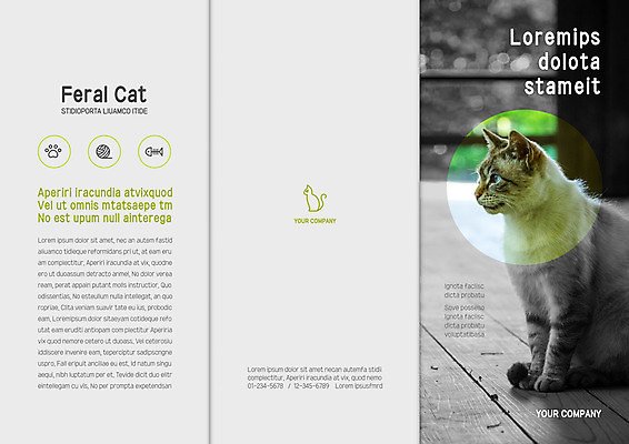 템플릿 한마리 표지디자인 북디자인 출판디자인 표지 리플렛 북커버 3단접지 조명 팜플렛 사람없음 고양이 털실 발자국 반려 생선가시 이미지템플릿 AI파일 1 포유류 자국 반려동물 실 파일형식 벡터