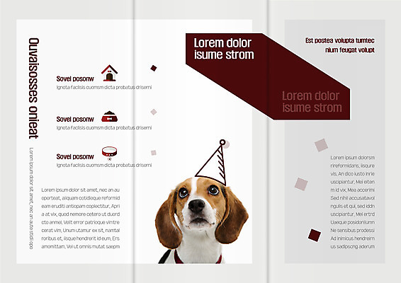 템플릿 한마리 표지디자인 북디자인 출판디자인 내지 리플렛 북커버 3단접지 팜플렛 사람없음 사각형 강아지 개집 개밥그릇 반려 이미지템플릿 AI파일 도형 1 그릇 반려동물 개 애견용품 파일형식 벡터