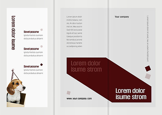 템플릿 한마리 표지디자인 북디자인 출판디자인 표지 리플렛 북커버 3단접지 팜플렛 사람없음 상자 사각형 강아지 반려 이미지템플릿 AI파일 도형 1 반려동물 개 파일형식 벡터