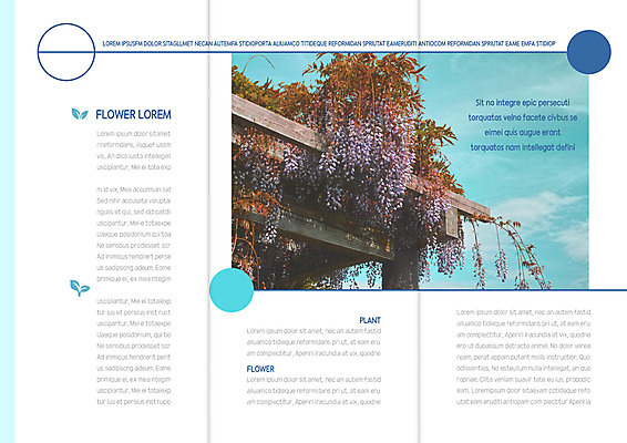 템플릿 표지디자인 북디자인 출판디자인 꽃 내지 리플렛 북커버 3단접지 하늘 팜플렛 사람없음 덩굴 아카시아 이미지템플릿 AI파일 나무 식물 파일형식 벡터