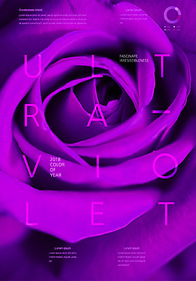 편집이미지 꽃 그래프 타이포그라피 사람없음 장미 보라색 울트라바이올렛 이미지편집 AI파일 식물 문자 컬러 파일형식 벡터 트랜드컬러