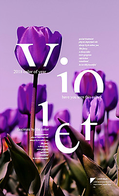 편집이미지 영어 꽃 타이포그라피 사람없음 보라색 튤립 울트라바이올렛 이미지편집 AI파일 식물 문자 컬러 파일형식 벡터 트랜드컬러