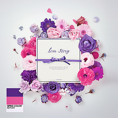 PSD 편집이미지 꽃잎 꽃 리본 사람없음 장미 보라색 편지 울트라바이올렛 이미지편집 식물 컬러 파일형식 트랜드컬러