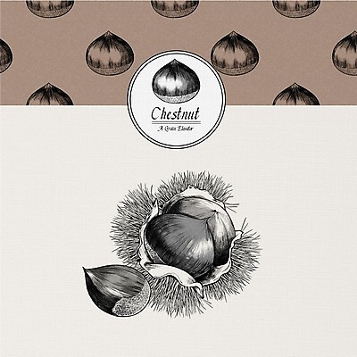 PSD 식물 열매 일러스트 사람없음 여러개 견과류 밤 밤송이 국내일러스트 다수 밤_견과류 파일형식
