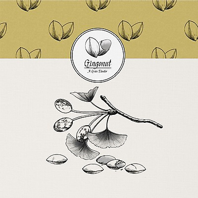 PSD 식물 열매 일러스트 사람없음 여러개 견과류 껍질 나뭇가지 은행잎 은행열매 국내일러스트 나무 다수 잎 파일형식