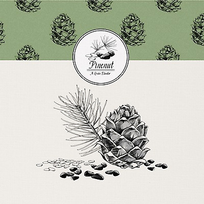 PSD 식물 열매 일러스트 사람없음 여러개 견과류 껍질 솔방울 솔잎 잣 국내일러스트 다수 잎 파일형식