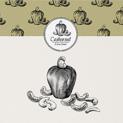 PSD 식물 열매 일러스트 사람없음 여러개 견과류 알맹이 캐슈넛 국내일러스트 다수 파일형식