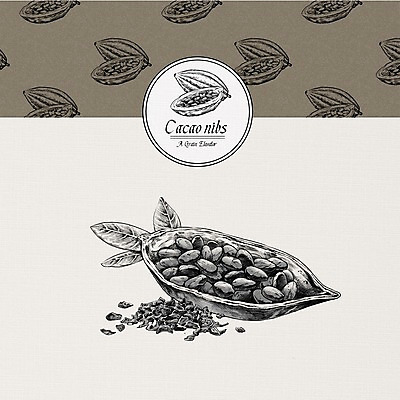 PSD 식물 열매 잎 일러스트 사람없음 여러개 견과류 카카오닙스 국내일러스트 다수 파일형식