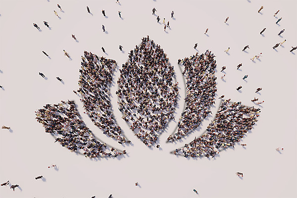 PSD 편집이미지 종교 불교 함께함 연꽃 사람 여러명 3D 군중 디지털합성 연화 디지털아트 편집3D 꽃 다수 컨셉 파일형식