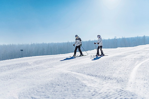 포토 JPG 주간 전신 커플 여자 남자 겨울 하늘 스키 스키장 20대 성인 야외 두명 앞모습 한국인 눈 몽골 성인만 스키타기 국내포토 자연요소 계절 아시아 뷰포인트 관계 날씨 겨울스포츠 사람 동양인 청년 파일형식
