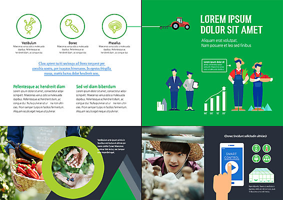 전신 PSD 템플릿 표지디자인 북디자인 손 출판디자인 남자 내지 리플렛 북커버 손가락 자동차 고추 그래프 정장 팜플렛 여러명 20대 신체부위 스마트폰 바구니 버섯 당근 터치 한국인 수확 농부 문서 밀짚모자 순무 청년농부 이미지템플릿 직업 모자_잡화 옷 육상교통 다수 농업 채소 뿌리채소 사람 동양인 청년 핸드폰 스마트기기 파일형식