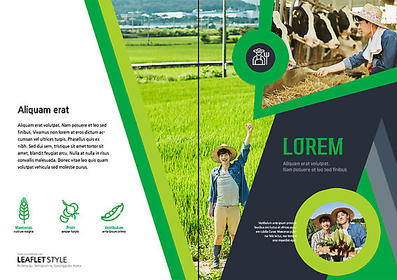 전신 PSD 템플릿 표지디자인 북디자인 출판디자인 표지 남자 리플렛 북커버 콩 논 마늘 옥수수 장화 웃음 팜플렛 상반신 20대 성인 두명 청춘 손들기 주먹 한국인 수확 볏짚 농부 농기구 밀 먹여주기 밀짚모자 보리 송아지 청년농부 이미지템플릿 직업 모자_잡화 새끼 신발 컨셉 농업 채소 모션 곡류 표정 사람 동양인 청년 소 짚 먹기 파일형식