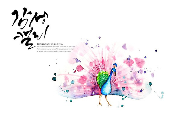 PSD 한마리 백그라운드 날개 일러스트 캘리그라피 붓터치 수채화 글자캘리그라피 사람없음 펼침 화려 공작 번짐 감성 국내일러스트 1 컨셉 모션 조류 파일형식 효과