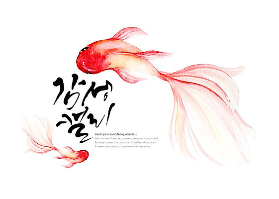 PSD 백그라운드 두마리 일러스트 캘리그라피 붓터치 수채화 어류 글자캘리그라피 사람없음 화려 번짐 지느러미 감성 국내일러스트 컨셉 2 수중동물 파일형식 효과