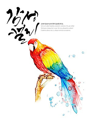 PSD 한마리 백그라운드 일러스트 캘리그라피 붓터치 수채화 글자캘리그라피 사람없음 컬러풀 나뭇가지 앵무새 번짐 감성 국내일러스트 나무 1 컬러 컨셉 조류 파일형식 효과
