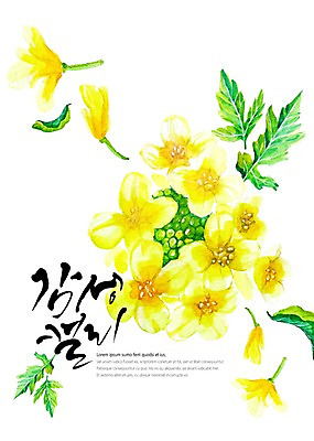 PSD 꽃 백그라운드 잎 일러스트 캘리그라피 붓터치 수채화 글자캘리그라피 사람없음 노란색 유채 감성 국내일러스트 식물 컬러 컨셉 파일형식