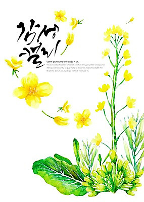 PSD 백그라운드 잎 일러스트 캘리그라피 붓터치 수채화 글자캘리그라피 사람없음 노란색 유채 꽃봉오리 감성 국내일러스트 식물 꽃 컬러 컨셉 파일형식