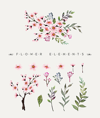 PSD 꽃잎 꽃 꽃다발 일러스트 나뭇잎 수채화 사람없음 벚꽃 국내일러스트 식물 잎 파일형식