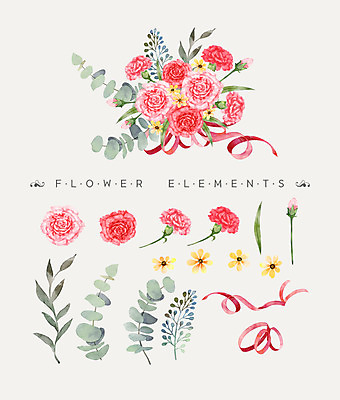 PSD 꽃잎 꽃 리본 꽃다발 일러스트 나뭇잎 수채화 사람없음 카네이션 국내일러스트 식물 잎 파일형식