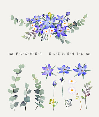 PSD 꽃잎 꽃 꽃다발 일러스트 나뭇잎 수채화 사람없음 보라색 베고니아 국내일러스트 식물 컬러 잎 파일형식