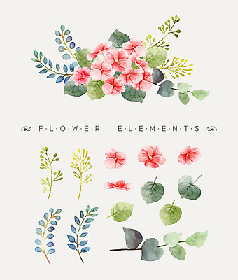 PSD 꽃잎 꽃 분홍색 꽃다발 일러스트 나뭇잎 수채화 사람없음 베고니아 국내일러스트 식물 컬러 잎 파일형식