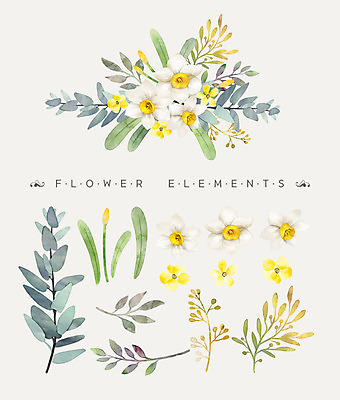 PSD 꽃잎 꽃 꽃다발 일러스트 나뭇잎 수채화 사람없음 수선화 국내일러스트 식물 잎 파일형식