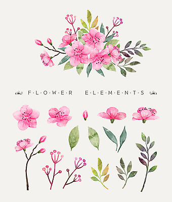 PSD 꽃잎 꽃 분홍색 꽃다발 일러스트 나뭇잎 수채화 사람없음 진달래 국내일러스트 식물 컬러 잎 파일형식