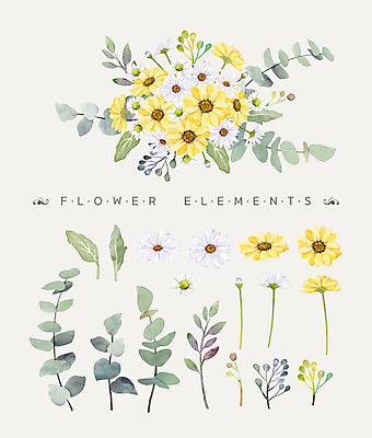 PSD 꽃잎 꽃 꽃다발 일러스트 나뭇잎 수채화 사람없음 구절초 국내일러스트 식물 잎 파일형식