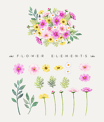 PSD 꽃잎 꽃 꽃다발 일러스트 나뭇잎 수채화 사람없음 코스모스 국내일러스트 식물 잎 파일형식