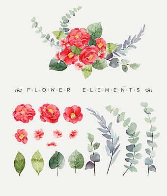 PSD 꽃잎 꽃 꽃다발 일러스트 나뭇잎 수채화 사람없음 동백 국내일러스트 식물 잎 파일형식