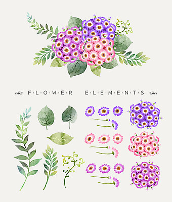 PSD 꽃잎 꽃 꽃다발 일러스트 나뭇잎 수채화 사람없음 시네라리아 국내일러스트 식물 잎 파일형식