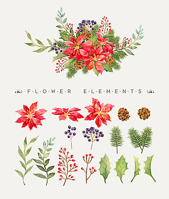 PSD 꽃잎 꽃 꽃다발 일러스트 나뭇잎 수채화 사람없음 솔방울 포인세티아 국내일러스트 식물 잎 파일형식