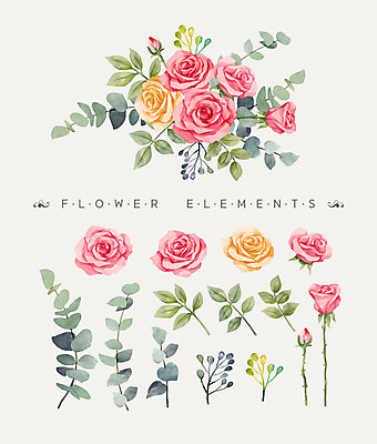 PSD 꽃잎 꽃 꽃다발 일러스트 나뭇잎 수채화 사람없음 장미 국내일러스트 식물 잎 파일형식