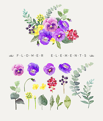 PSD 열매 꽃잎 꽃 꽃다발 일러스트 나뭇잎 수채화 사람없음 팬지 국내일러스트 식물 잎 파일형식