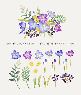 PSD 꽃잎 꽃 꽃다발 일러스트 나뭇잎 수채화 사람없음 사프란 국내일러스트 식물 잎 향신료 파일형식