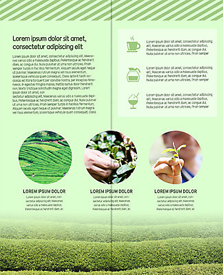 PSD 템플릿 표지디자인 북디자인 손 출판디자인 내지 리플렛 2단접지 북커버 팜플렛 신체부위 잡기 커피잔 녹차밭 녹차아이스크림 녹차잎 따기 이미지템플릿 커피 밭 모션 아이스크림 잔 사람 녹차 찻잎 파일형식