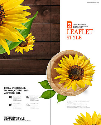 PSD 템플릿 표지디자인 북디자인 출판디자인 표지 화분 리플렛 잎 2단접지 북커버 해바라기 팜플렛 사람없음 나무벽 이미지템플릿 식물 꽃 벽 목재 파일형식