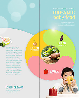 PSD 템플릿 표지디자인 북디자인 손 출판디자인 표지 남자 리플렛 2단접지 북커버 가지 양파 파프리카 한명 팜플렛 상반신 신체부위 흙 한국인 수확 아기 유기농 이유식 심기 이미지템플릿 1 웰빙 음식 농업 채소 모션 사람 동양인 파일형식