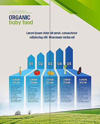 PSD 템플릿 표지디자인 북디자인 출판디자인 내지 리플렛 토마토 2단접지 북커버 가지 그래프 감자 논 팜플렛 초원 사람없음 당근 무 유기농 순서 이미지템플릿 웰빙 농업 채소 뿌리채소 파일형식