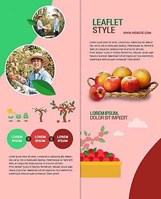 전신 PSD 템플릿 표지디자인 북디자인 출판디자인 남자 내지 리플렛 2단접지 북커버 팜플렛 상반신 성인 세명 30대 상자 바구니 새싹 한국인 수확 60대 농부 과수원 사과나무 박스포장 이미지템플릿 나무 식물 직업 노년 농업 포장 사람 동양인 장년 사과 파일형식