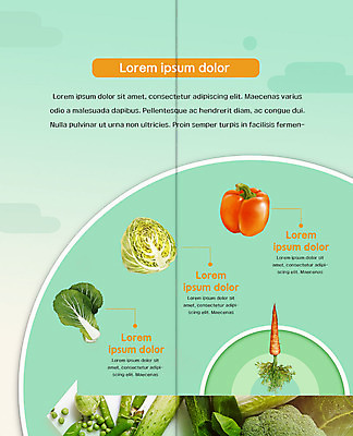 PSD 템플릿 표지디자인 북디자인 출판디자인 내지 리플렛 2단접지 북커버 오이 콩 파프리카 팜플렛 사람없음 당근 브로콜리 배추 양배추 이미지템플릿 채소 곡류 뿌리채소 파일형식