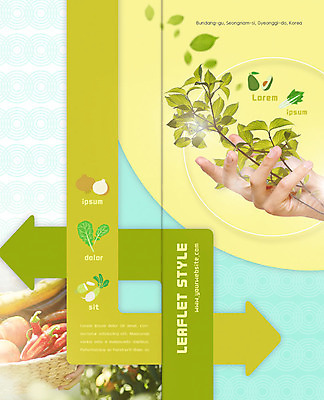 PSD 템플릿 표지디자인 북디자인 손 출판디자인 표지 리플렛 채소 2단접지 북커버 고추 양파 팜플렛 신체부위 수확 나뭇가지 잡기 무 아보카도 쌈채소 이미지템플릿 나무 농업 과일 모션 뿌리채소 사람 파일형식