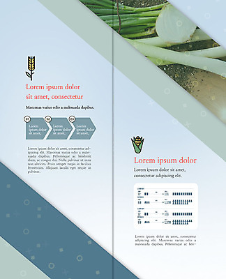 PSD 템플릿 표지디자인 북디자인 출판디자인 내지 리플렛 2단접지 북커버 양파 그래프 옥수수 팜플렛 사람없음 흙 벼 파 이미지템플릿 채소 곡류 파일형식