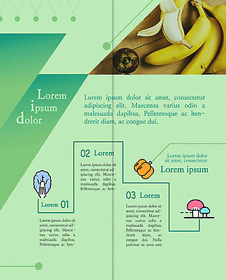 PSD 템플릿 표지디자인 북디자인 출판디자인 내지 리플렛 채소 2단접지 북커버 파프리카 바나나 팜플렛 사람없음 연두색 버섯 이미지템플릿 과일 초록색 파일형식