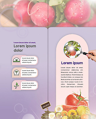 PSD 나무 템플릿 표지디자인 북디자인 손 출판디자인 열매 내지 리플렛 토마토 2단접지 북커버 오렌지 돋보기 팜플렛 신체부위 새싹 사과 파인애플 유기농 아보카도 이미지템플릿 식물 웰빙 채소 과일 사람 열대과일 파일형식