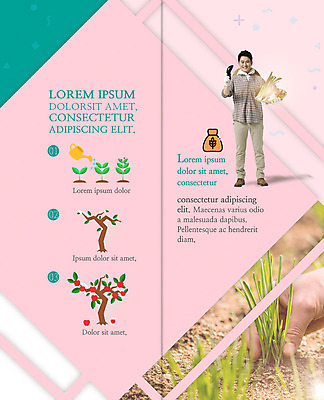 전신 PSD 나무 템플릿 표지디자인 북디자인 손 출판디자인 열매 남자 내지 리플렛 40대 2단접지 북커버 고추 가지 논 한명 팜플렛 성인 한국인 파 모종 심기 이미지템플릿 식물 1 중년 농업 채소 모션 사람 동양인 신체부위 파일형식