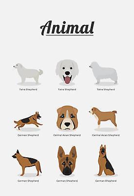 동물 여러마리 일러스트 포유류 종류 사람없음 개 강아지 반려 셰퍼드 국내일러스트 AI파일 다수 반려동물 파일형식 벡터