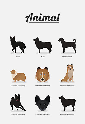 동물 여러마리 일러스트 포유류 종류 사람없음 개 강아지 보더콜리 콜리 반려 셔틀랜드쉽독 쉽독 국내일러스트 AI파일 다수 반려동물 파일형식 벡터